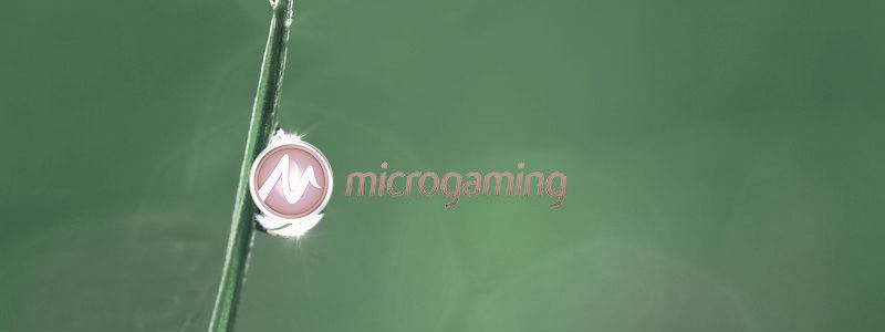 Microgaming