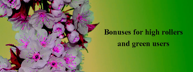 Bonuses